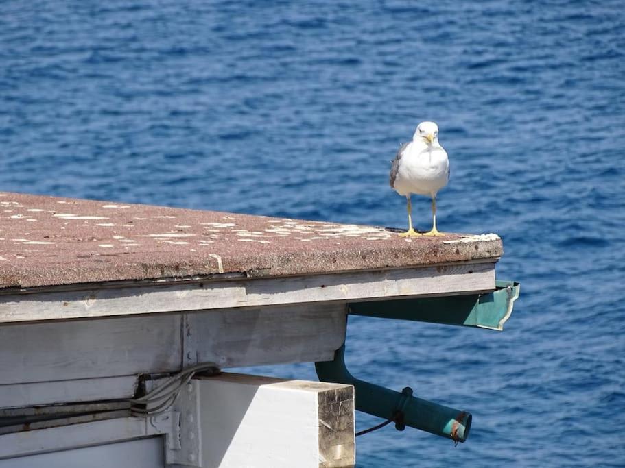 Casa Vela Βίλα Cefalù Εξωτερικό φωτογραφία